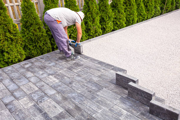 Best Driveway Pavers Near Me  in Lewes, DE