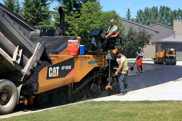 Driveway Repair Near Me in Lewes, DE