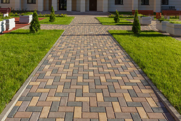 Best Driveway Paving Contractor  in Lewes, DE